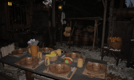 Atracción Disneyland Paris: La Cabane des Robinson
