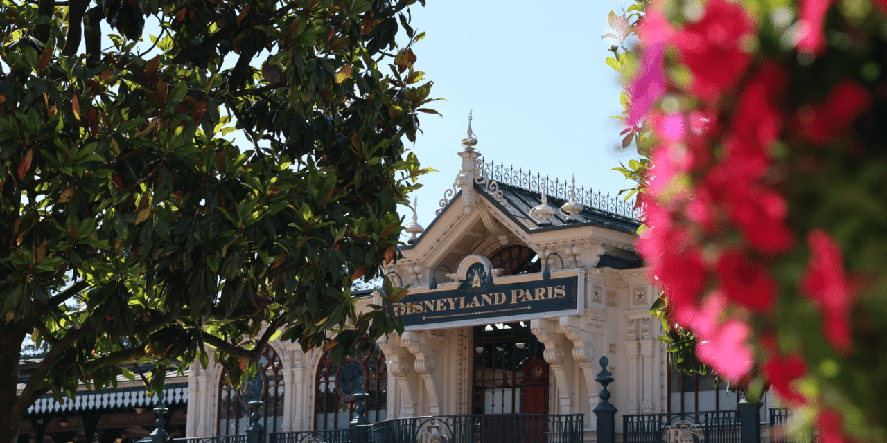 Comparación de entradas para Disneyland Paris