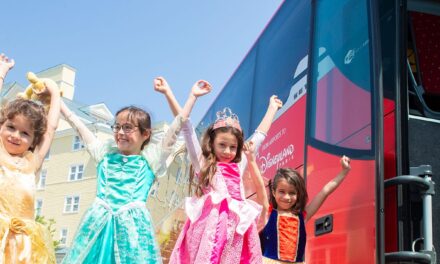 Cómo reservar un trayecto Magical Shuttle
